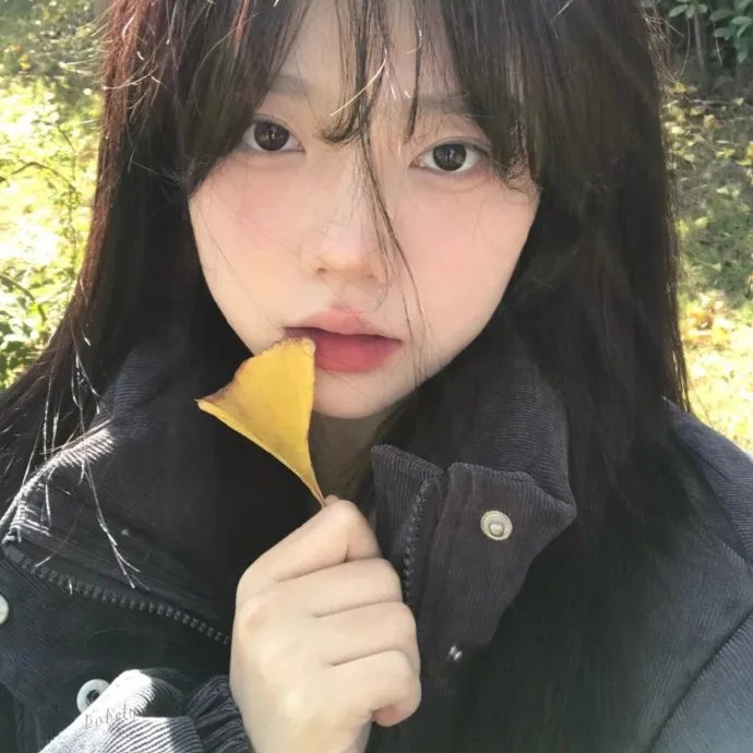剧终集